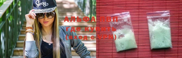 ешки Белокуриха