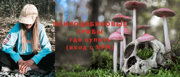 метадон Беломорск