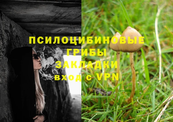 метадон Беломорск